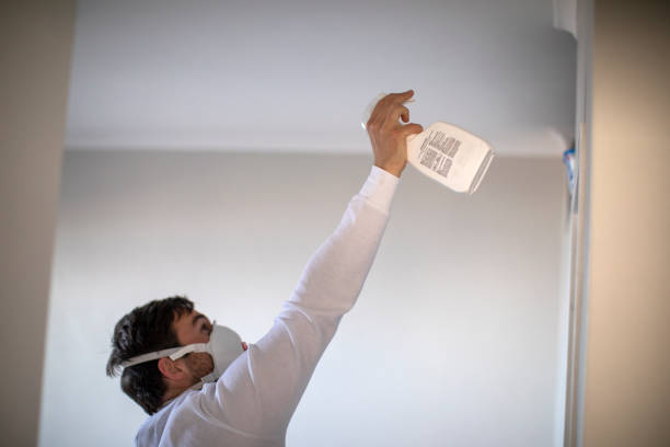 Best Post-Flood Mold Remediation in Dulce, NM