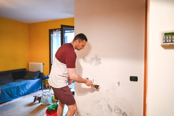 Best Health and Safety Mold Remediation in Dulce, NM